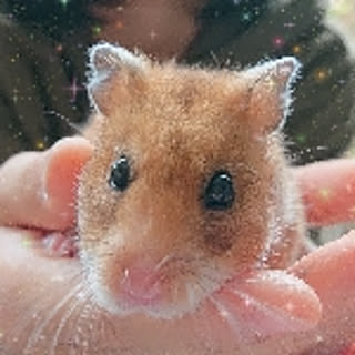 yuiko