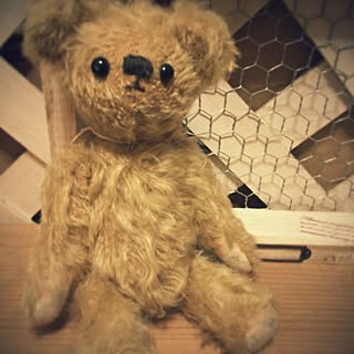 cookie