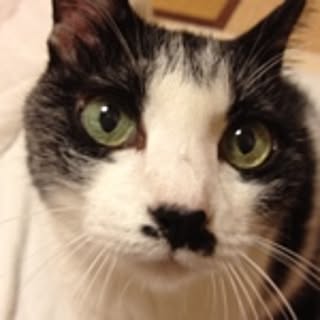 yuki