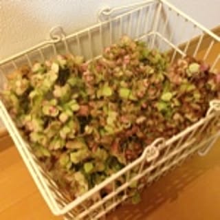 tekuteku