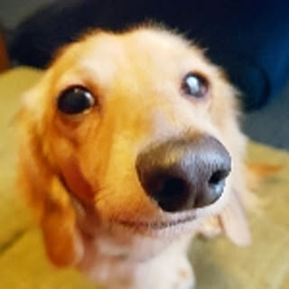 miii