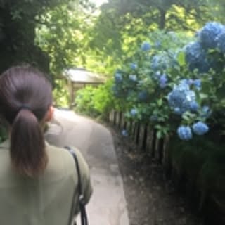 chihiro.701