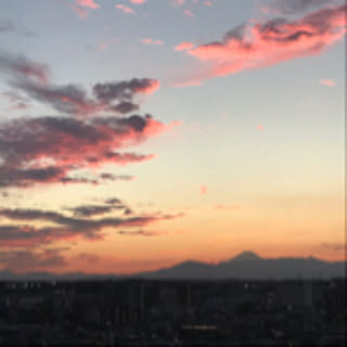 xx_s__a__s