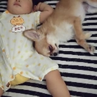 y.puu