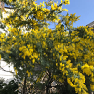 tmrnh0807