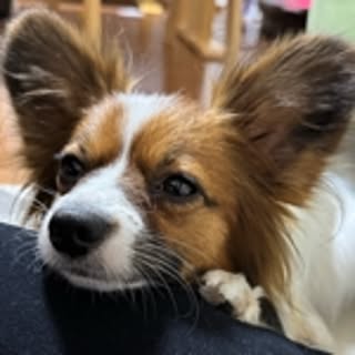 honey821yuki