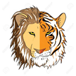liontiger