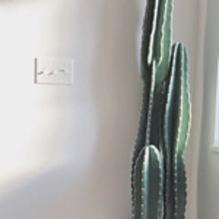 sa