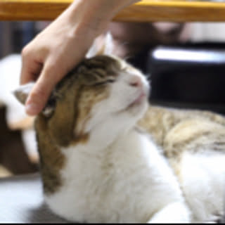 meisai