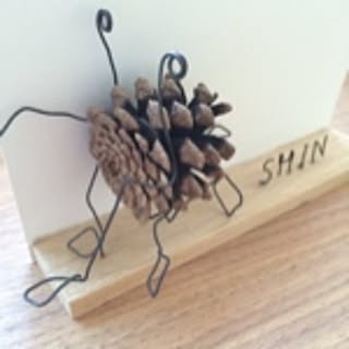 shinnosuke