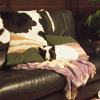 mrs.molly
