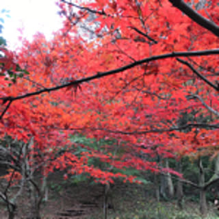 junkana