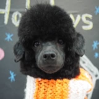 hiro