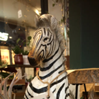 zebra