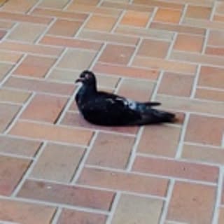 ymym16_21