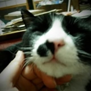 guuolive
