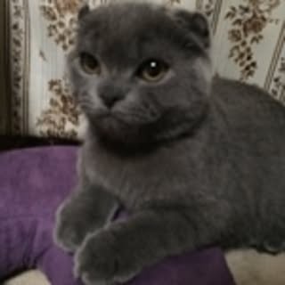 HIRO
