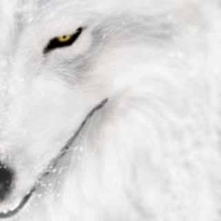 Yuki
