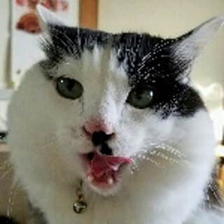 powaro