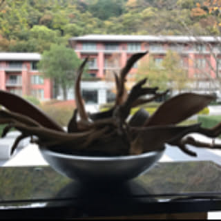 akiki.jiji