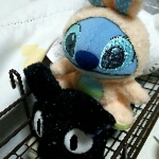 KaiTsugu