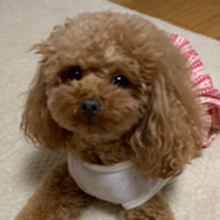 taeko