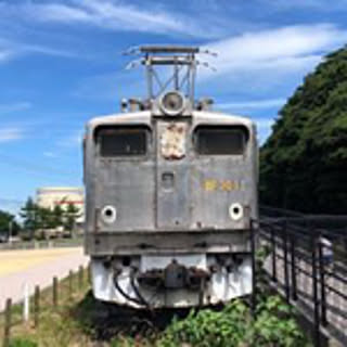 sicamo
