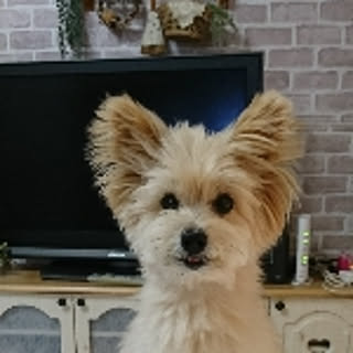 runa