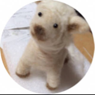 pucchi