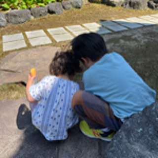 shizuka