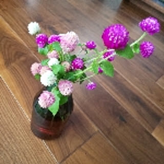 violet