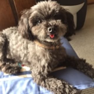 ivyberrybelle
