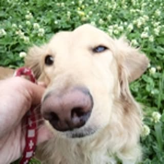 choco