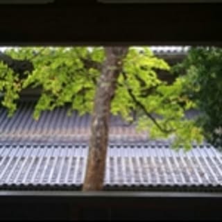 Shogo