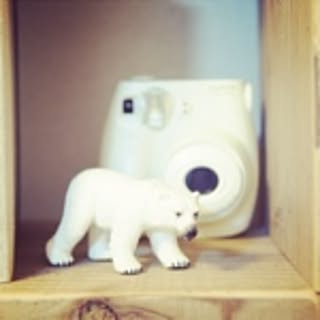 chou*chou