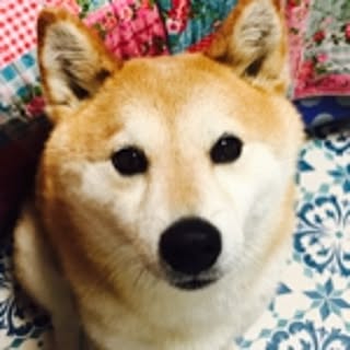 mari