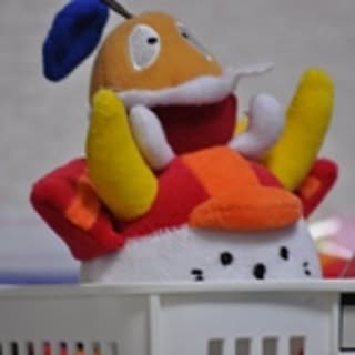 pikkari