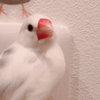 nkmrmdr0104