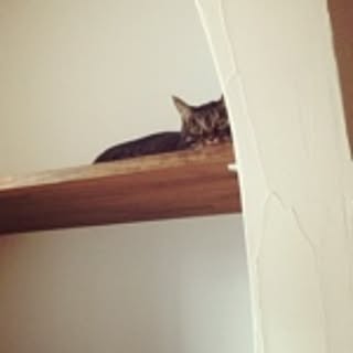 Mika