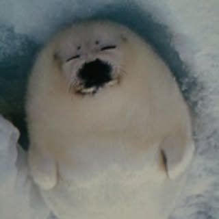 l_heureux