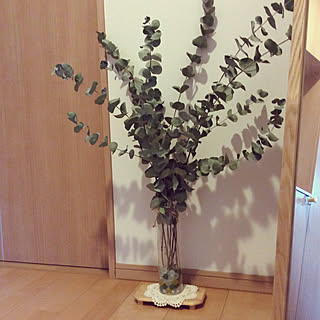 co__coco14