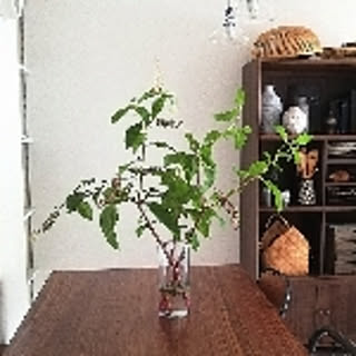 kiki__hus