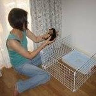 Lucymama