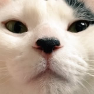 _____tag2