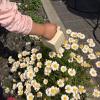 cocomama