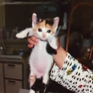 tama