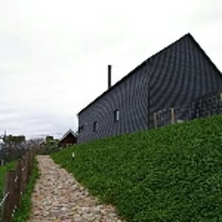 cimaya
