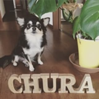 chura