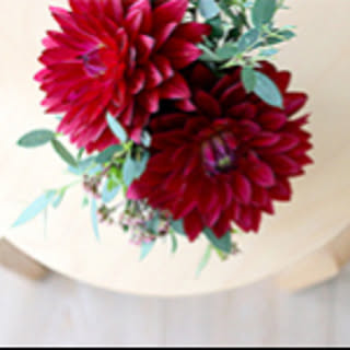 DAHLIA