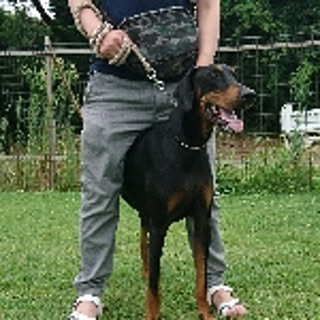 nelly